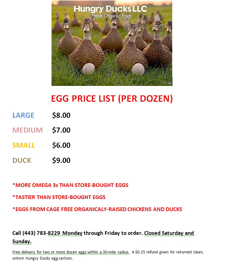 Hungry Ducks LLC egg price list — fresh organic eggs per dozen
